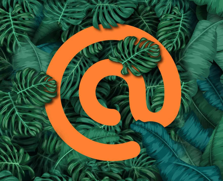Need a path in eCommerce jungle? We createIT