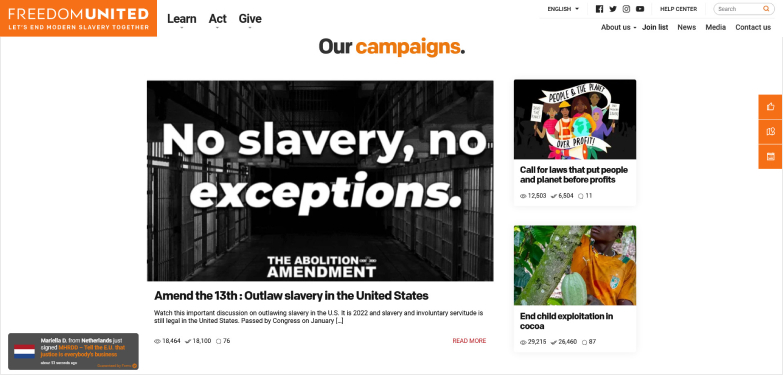 Preview of a website with text boxes and pictures