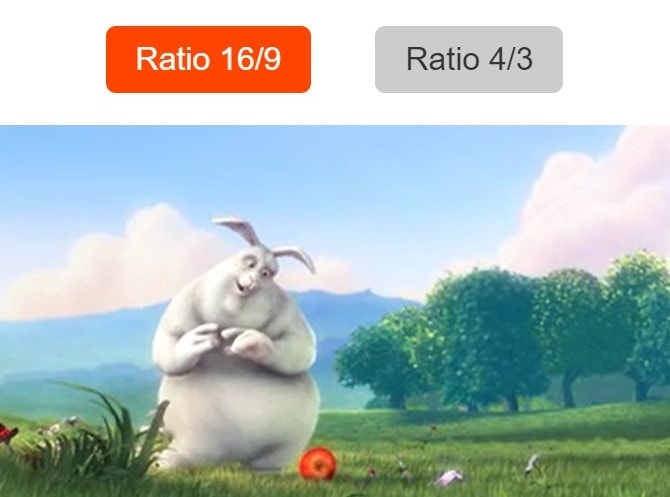 white bunny with video ratio buttons